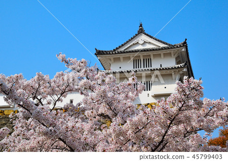 Sakuraba Himeji城堡Nishinomaru 45799403