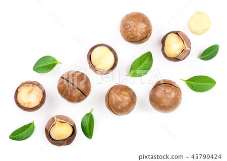 Shelled and unshelled macadamia nuts with leaves isolated on white background with copy space for Shelled and unshelled macadamia nuts with leaves isolated on white background with copy space for 45799424