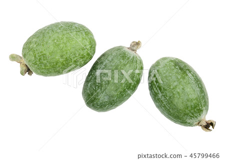 Tropical fruit feijoa Acca sellowiana isolated on white background. Top view. Flat lay pattern Tropical fruit feijoa Acca sellowiana isolated on white background. Top view. Flat lay pattern 45799466