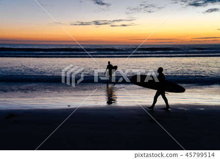 Silhouettes of surfers at sunset Silhouettes of surfers at sunset 45799514