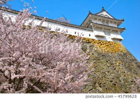 Sakuraba Himeji Castle Nishinomaru 45799628