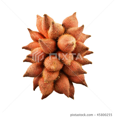 waive, Salak or Sala Fruit of Thailand isolated waive, Salak or Sala Fruit of Thailand isolated 45800255