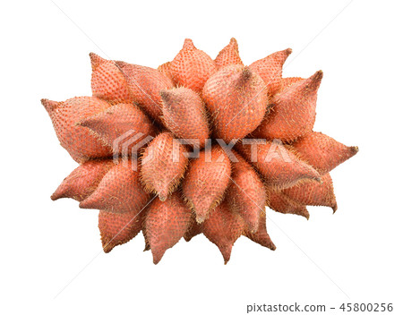 waive, Salak or Sala Fruit of Thailand isolated waive, Salak or Sala Fruit of Thailand isolated 45800256