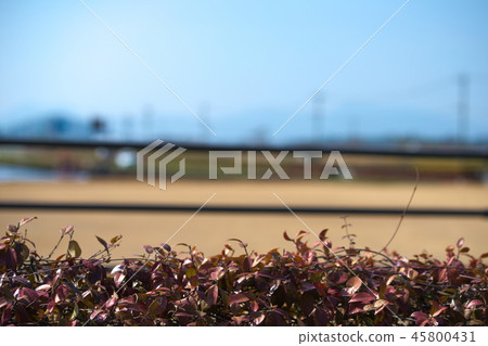 Farmland of Kumamoto City Farmland of Kumamoto City 45800431