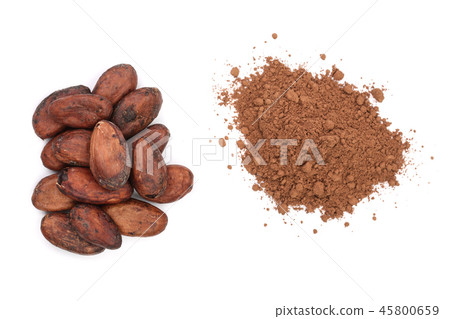cocoa bean and cocoa powder isolated on white background top view 45800659
