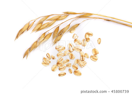 oat spike with oat flakes isolated on white background 45800739