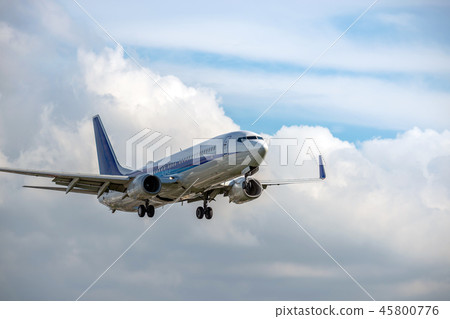 Flighted airliner 45800776
