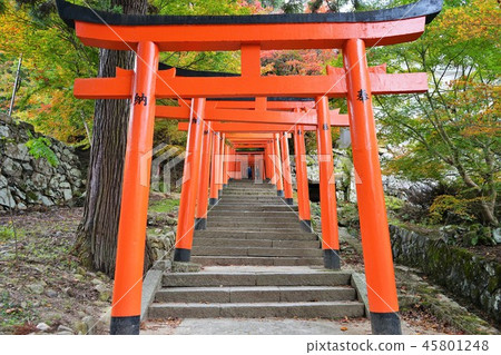 Izushi Castle Torii Izushi Castle Torii 45801248