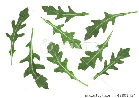 Green fresh rucola or arugula leaf isolated on white background. Top view. Flat lay pattern Green fresh rucola or arugula leaf isolated on white background. Top view. Flat lay pattern 45801434