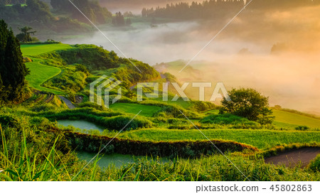 Terraced rice terrace (morning view) Terraced rice terrace (morning view) 45802863