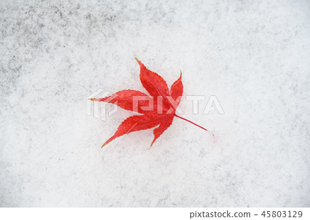 第一場雪 45803129