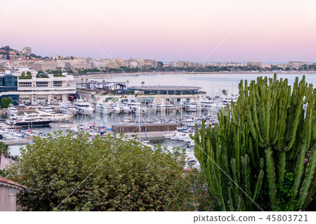 Bushes and cactus plants on a valley near a port 45803721