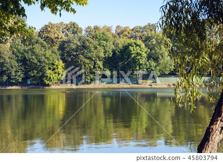 Landscape of Herastrau lake Landscape of Herastrau lake 45803794
