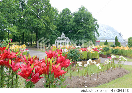 Yuri of the Hana flower corridor 45804368