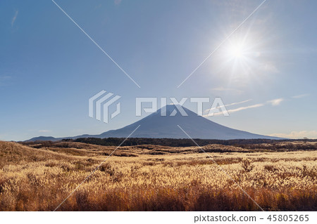 Mountain Fuji with the sun and dry plants at noon in Fujikawaguc Mountain Fuji with the sun and dry plants at noon in Fujikawaguc 45805265