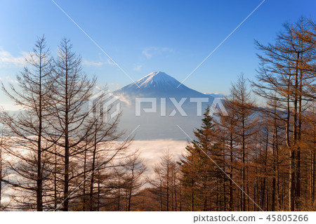 Aerial view of Mountain Fuji and dry trees with morning mist or 45805266