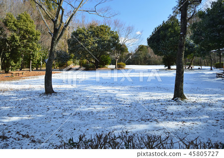 Winter park, blue sky and snow Winter park, blue sky and snow 45805727