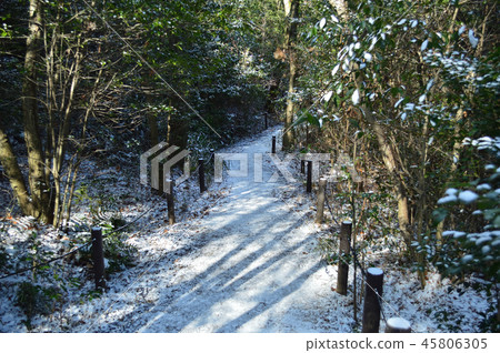 冬季公園,雪道 冬季公園,雪道 45806305