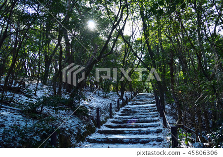 冬季公園，雪樓梯 45806306