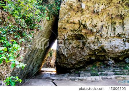 Okinawa Saiba Gyoen Sankori 45806503