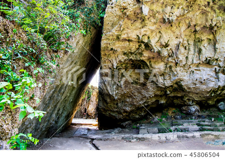 Okinawa Saiba Gyoen Sankori 45806504