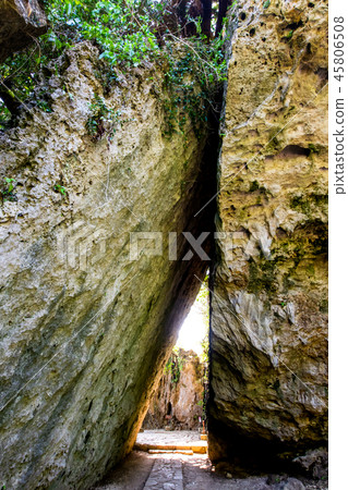 沖繩Saiba Gyoen Sankori 沖繩Saiba Gyoen Sankori 45806508