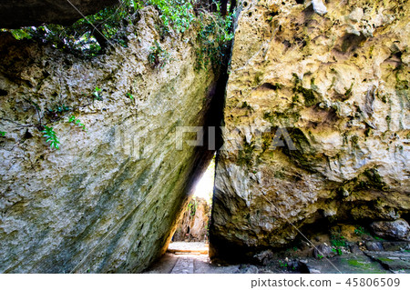 Okinawa Saiba Gyoen Sankori 45806509