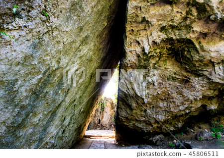 Okinawa Saiba Gyoen Sankori 45806511