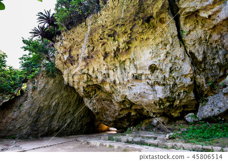 Okinawa Saiba Gyoen Sankori 45806514