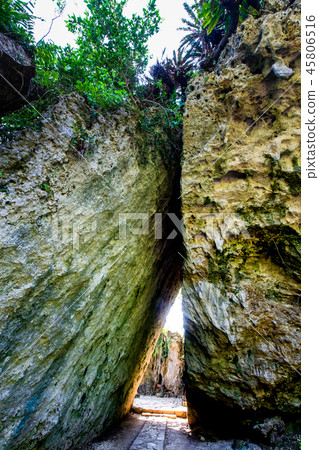 Okinawa Saiba Gyoen Sankori 45806516