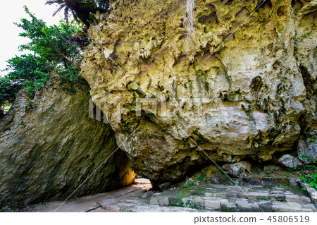 Okinawa Saiba Gyoen Sankori Okinawa Saiba Gyoen Sankori 45806519
