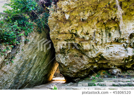 Okinawa Saiba Gyoen Sankori Okinawa Saiba Gyoen Sankori 45806520