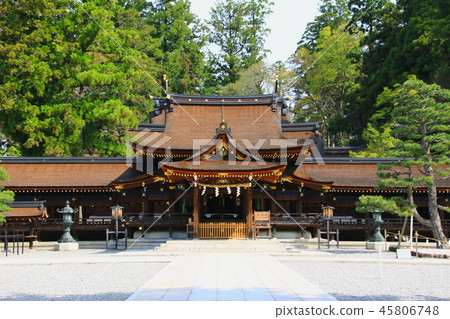 Taga Taisha Taga Taisha 45806748