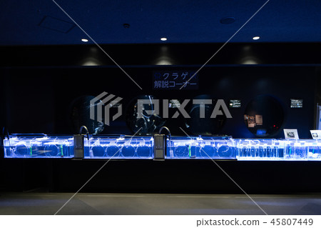 鶴岡市山形縣Kamo水族館評論角 45807449