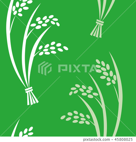 Pattern Inaho Green Green Green 45808025