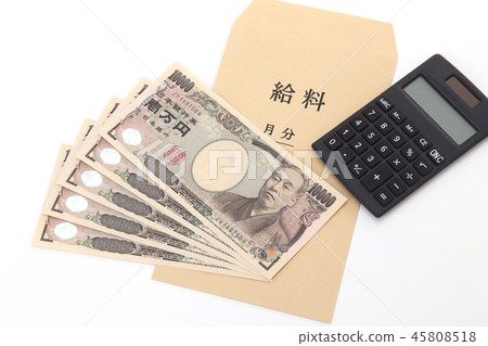 Salary bag 45808518