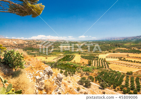 Prickly pears on foreground of landscape. 45809006