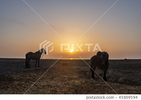 濟州島旅遊 濟州島旅遊 45809594