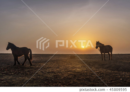 濟州島旅遊 濟州島旅遊 45809595