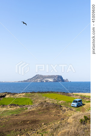 濟州島旅遊 45809600