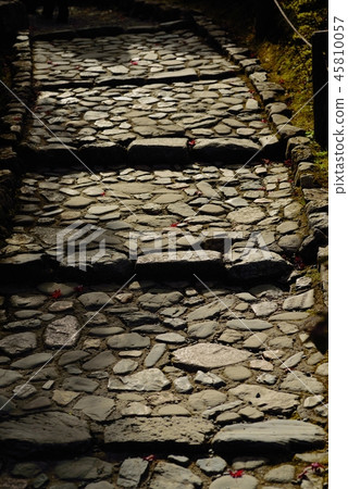 Autumn cobblestone Autumn cobblestone 45810057