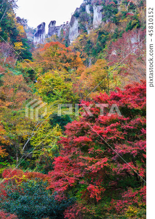 Autumn leaves at first glance Eighth scenery Nakatsu City Shinkansen, Oita Prefecture 45810152