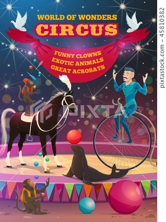 Big top circus acrobat equilibrist, animals show 45810382