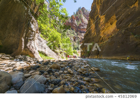 Zion National park,Utah,usa.06/02/16 45812069