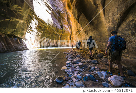 Zion National park,Utah,usa.06/02/16 45812071