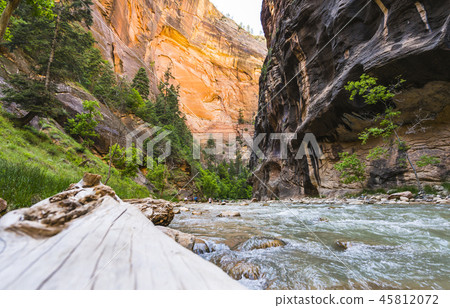 Zion National park,Utah,usa.06/02/16 Zion National park,Utah,usa.06/02/16 45812072