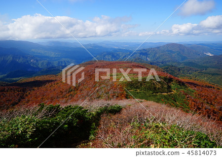 秋天的樹葉附近山 45814073