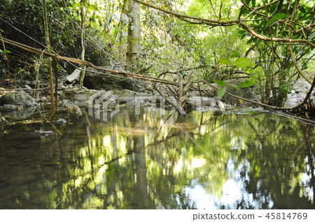 landscape of still water on river in forest landscape of still water on river in forest 45814769
