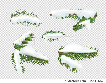 Green pine tree branches with snow Green pine tree branches with snow 45815667