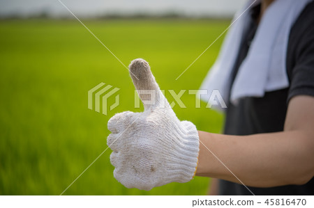 一個農民 一個農民 45816470